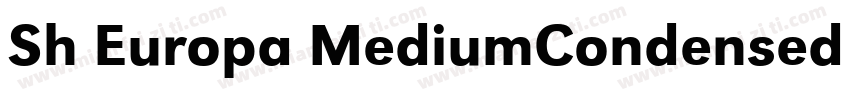 Sh Europa MediumCondensed Regular字体转换